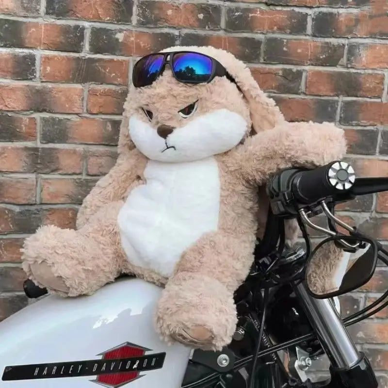 Angry Rabbit