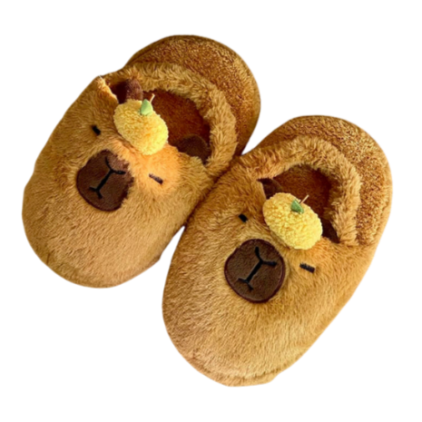 Capybara Slippers